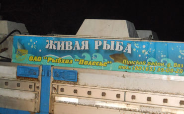 Зарыбление на озере Селява