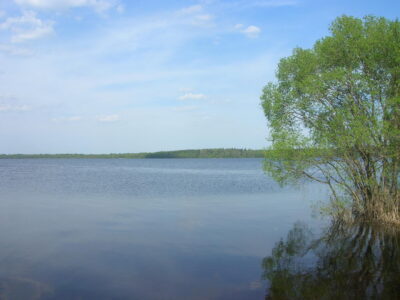 Фото заказника Селява