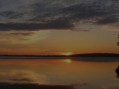 Заказник республиканского значения «Селява»