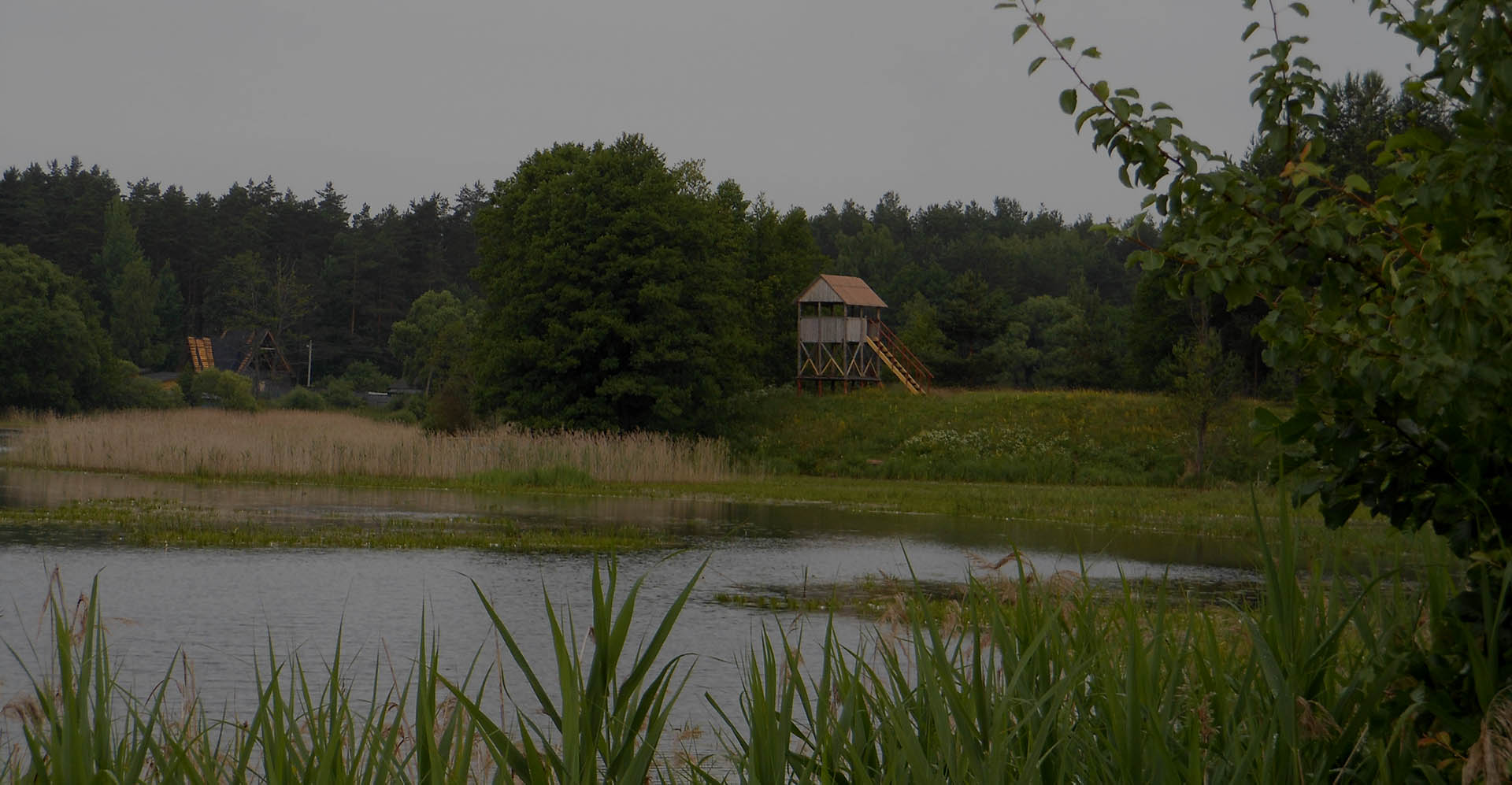 Охота в заказнике «Селява»