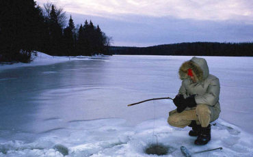 Winter Hunter Seljava