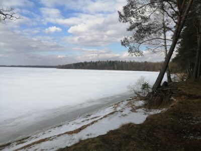 Заказник республиканского значения «Селява»