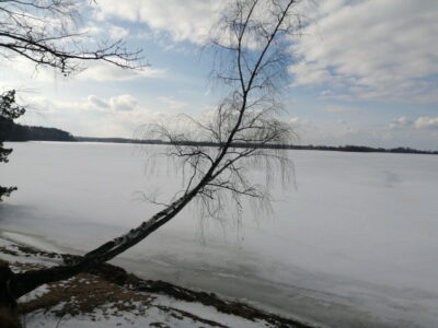 Заказник республиканского значения «Селява»