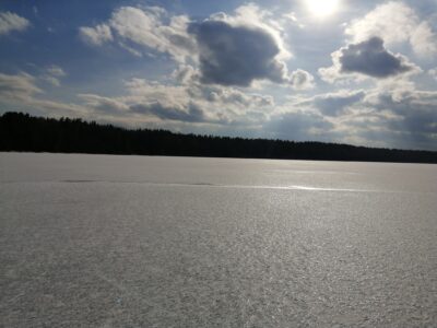 Заказник республиканского значения «Селява»