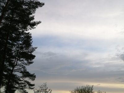 Заказник республиканского значения «Селява»