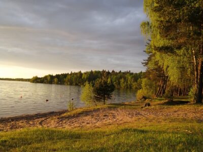 Заказник республиканского значения «Селява»