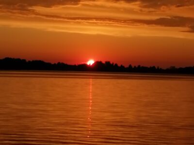 Заказник республиканского значения «Селява»