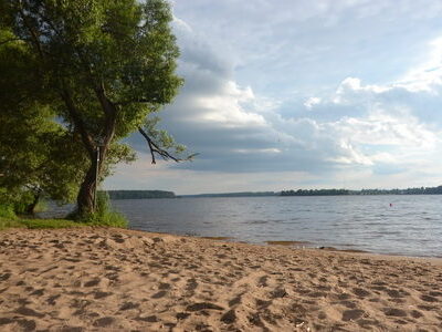 Заказник республиканского значения «Селява»