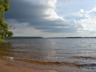 Заказник республиканского значения «Селява»