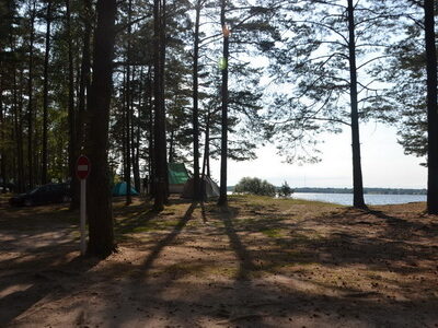 Заказник республиканского значения «Селява»