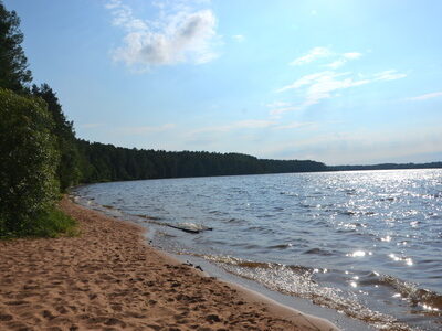 Заказник республиканского значения «Селява»