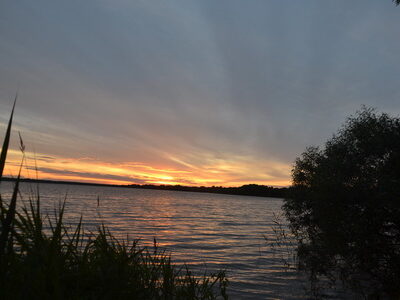 Заказник республиканского значения «Селява»