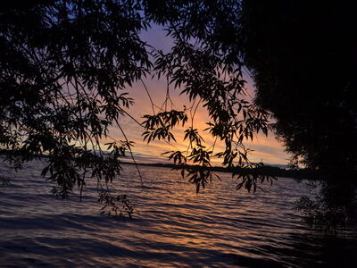 Заказник республиканского значения «Селява»