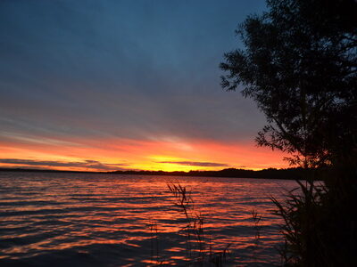 Заказник республиканского значения «Селява»