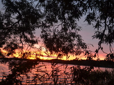 Заказник республиканского значения «Селява»