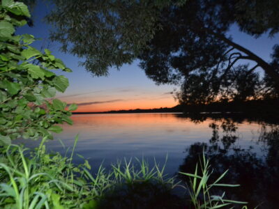 Заказник республиканского значения «Селява»