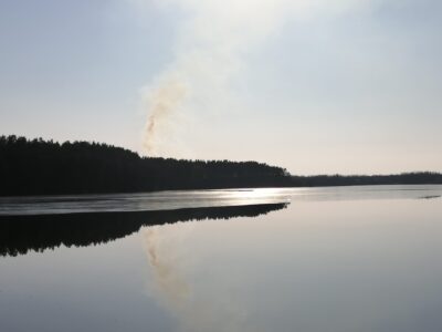 Заказник республиканского значения «Селява»