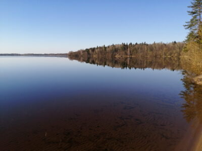 Заказник республиканского значения «Селява»