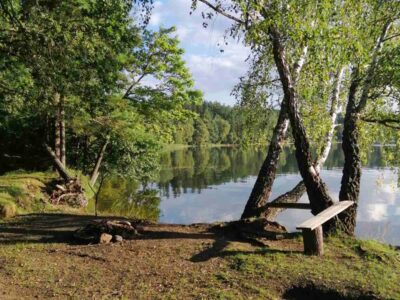 Заказник республиканского значения «Селява»