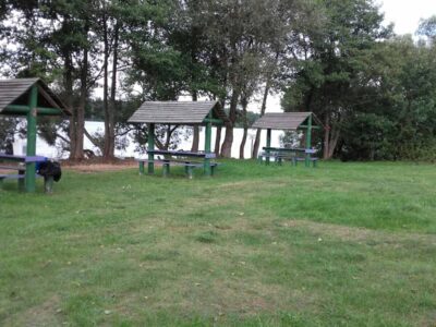 Заказник республиканского значения «Селява»